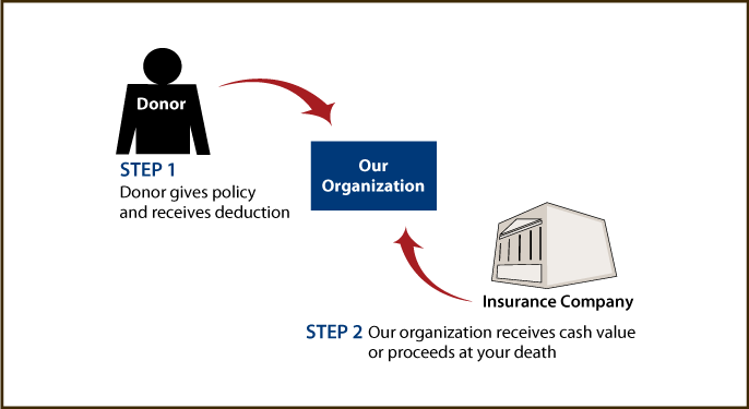 Life Insurance Policy Thumbnail